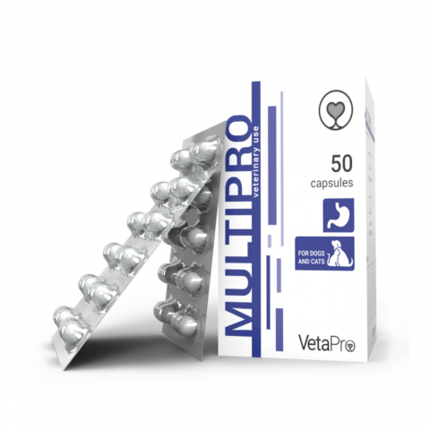 Afectiuni digestive pisici - VETAPRO MULTIPRO 50CAPS/CUT SUPORT GASTROINTESTINAL CAINI SI PISICI