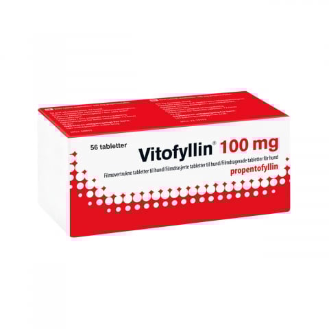 Afectiuni cardiace caini - VITOFYLLIN 100MG COMPRIMATE PENTRU CAINI 56TB/CUT