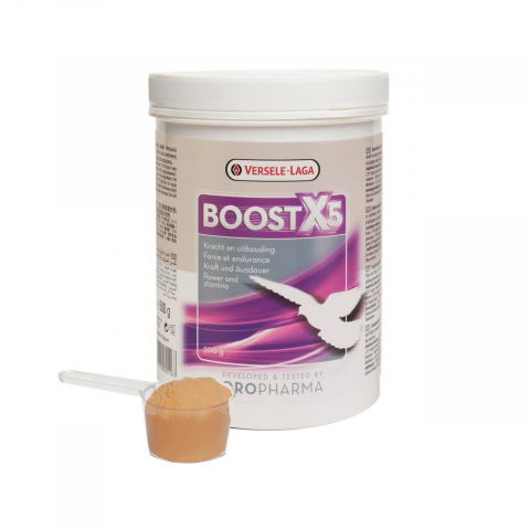 Suplimente si vitamine pasari - VL OROPHARMA BOOST X5 500GR