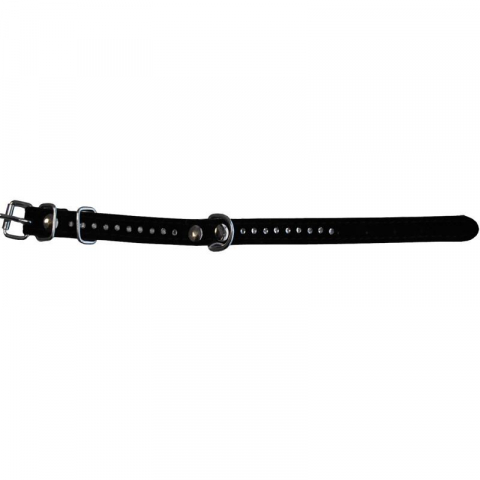 Caini - ZGARDA VELUR PENTRU CAINI MILAN STRASURI 1 RAND 25CM