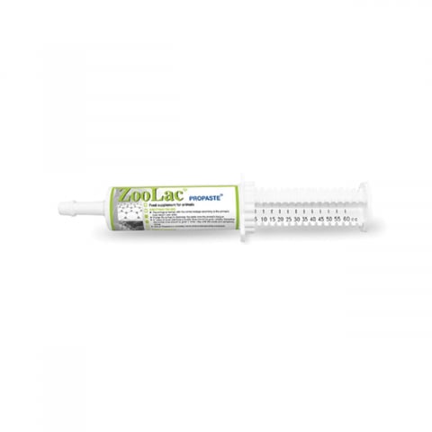 Suplimente si vitamine pisici - Probiotic caini, pisici, ZOOLAC PROPASTE 15 ML