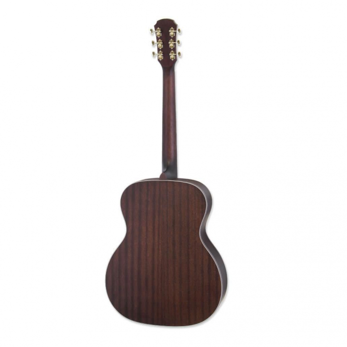 Aria 101 DP Delta Player [2]