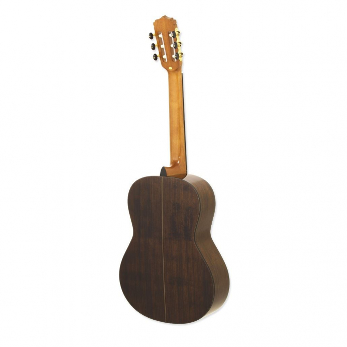 Aria A-30S Natural [2]