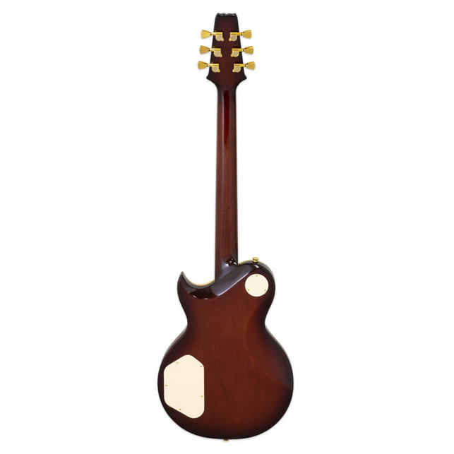 Aria PE-F80 Gold Top [2]