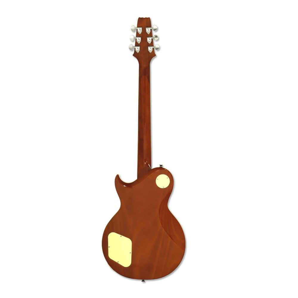 Aria Pro II PE-350PG [2]