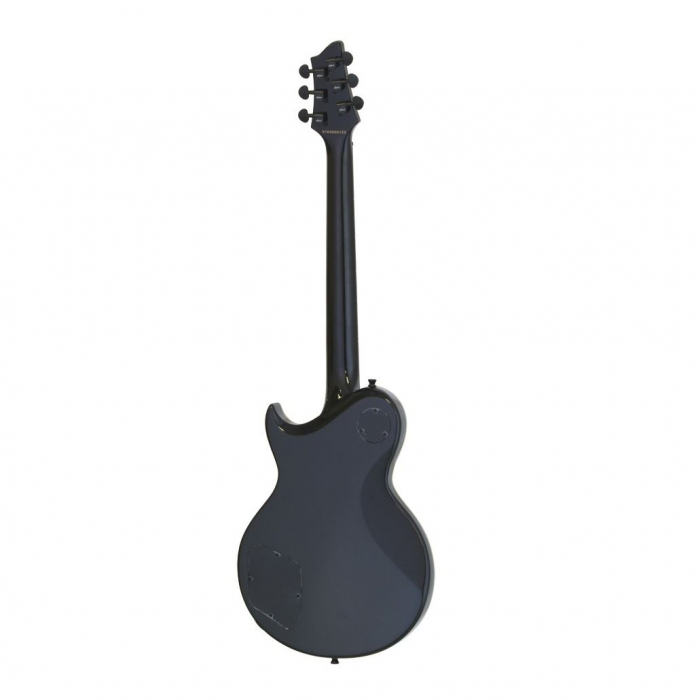 Aria Pro II PE-390 Black [2]