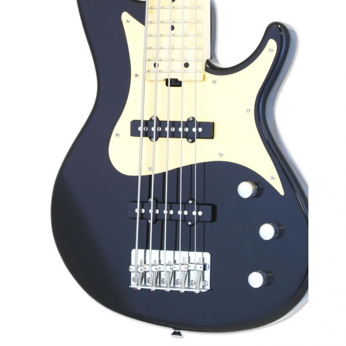 Aria Pro II RSB-618/5 Black [3]