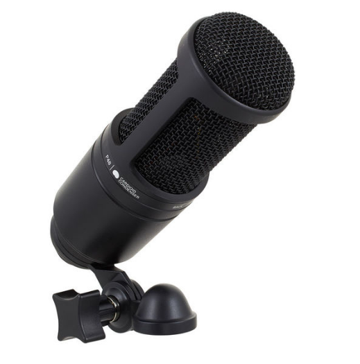 Audio-Technica AT2020 [10]