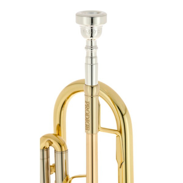 B&S BS210-1-0 PRODIGE BB [6]