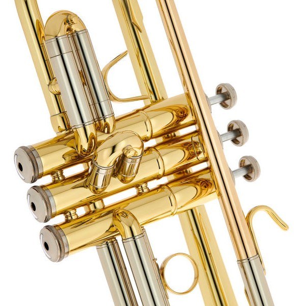 B&S BS210-1-0 PRODIGE BB [5]