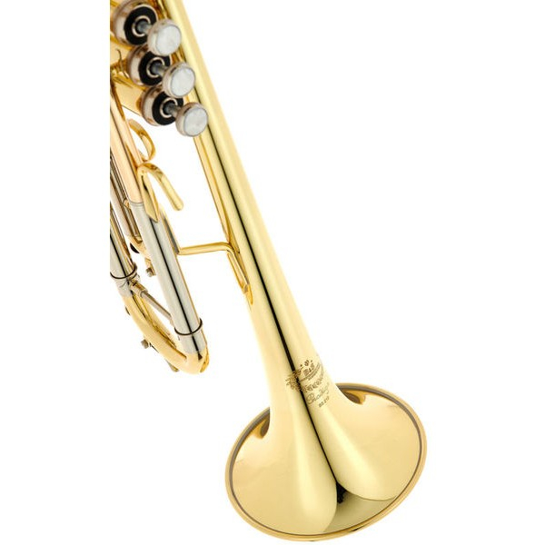 B&S BS210-1-0 PRODIGE BB [7]