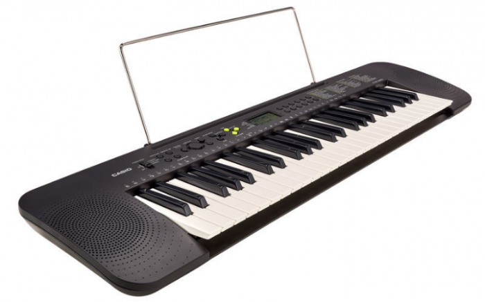 Casio CTK-240 [6]