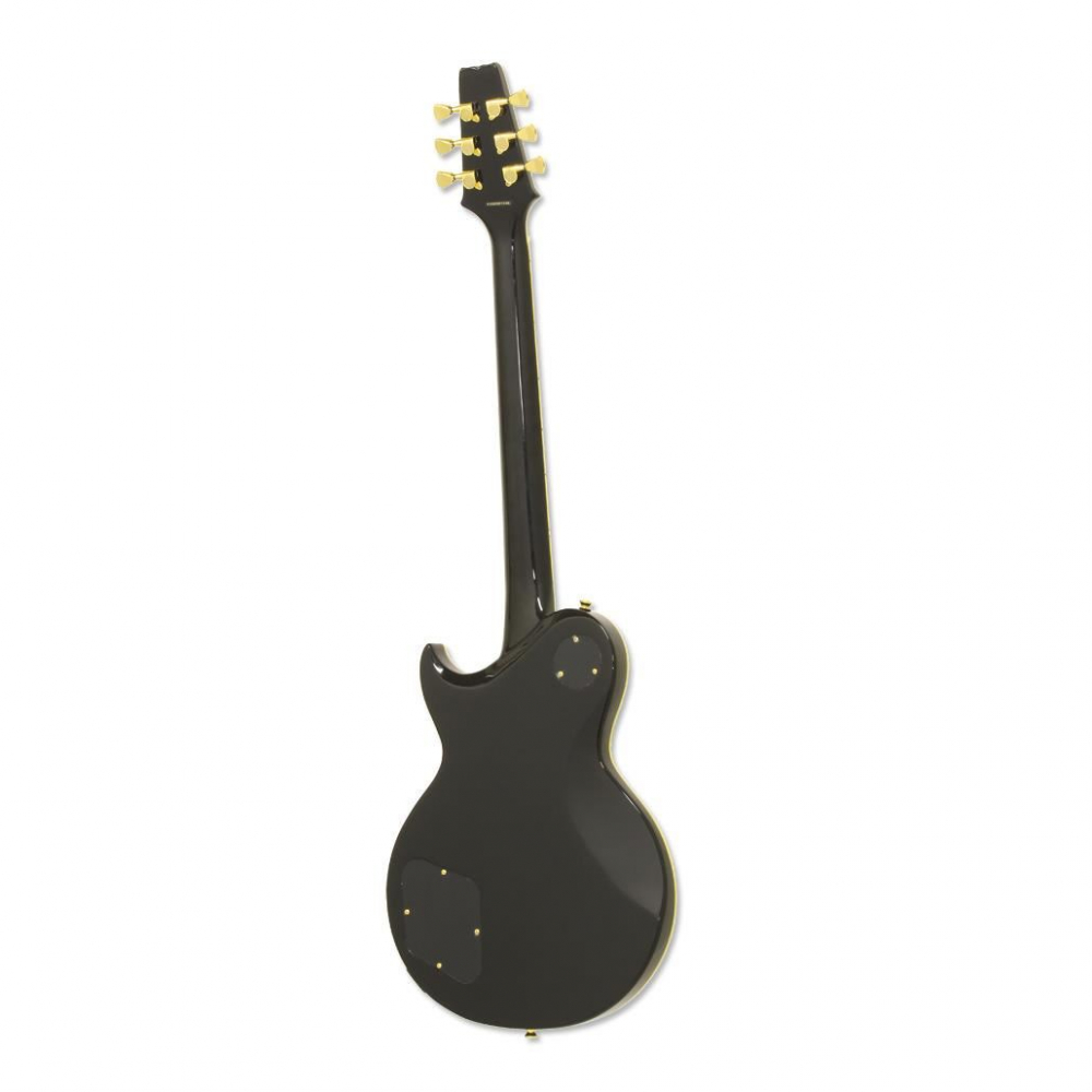 Aria Pro II PE-350CST AGBK Aged Black [2]