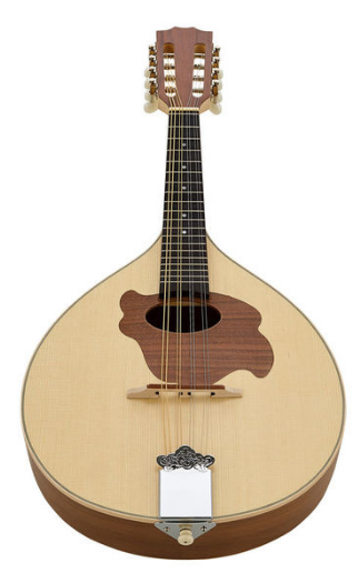 Gewa Pro Natura Mandolin [3]