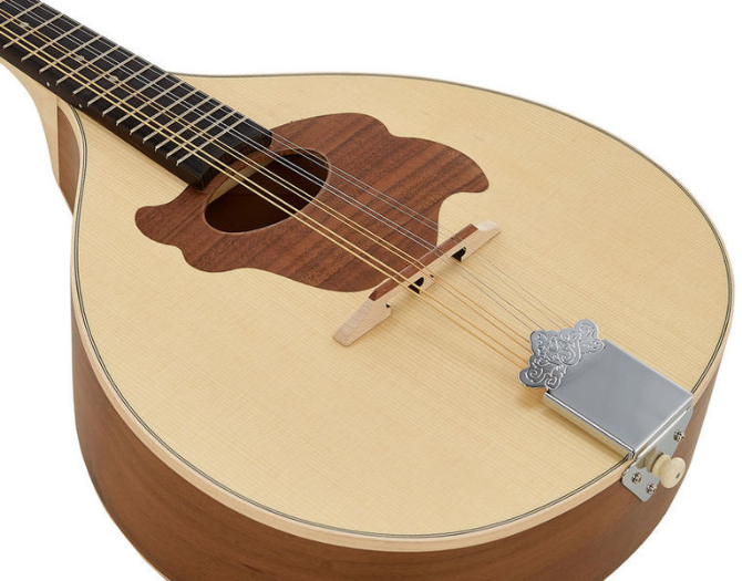 Gewa Pro Natura Mandolin [6]