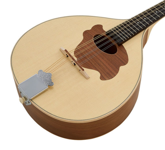 Gewa Pro Natura Mandolin [4]