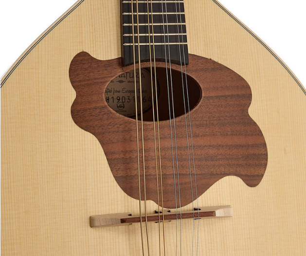 Gewa Pro Natura Mandolin [7]