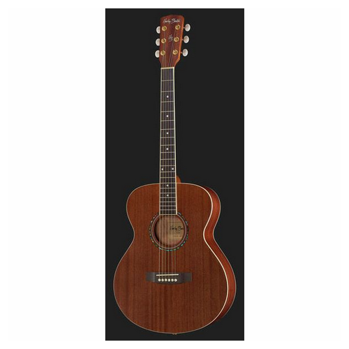 Harley Benton Blues Guitar Set 2 [2]