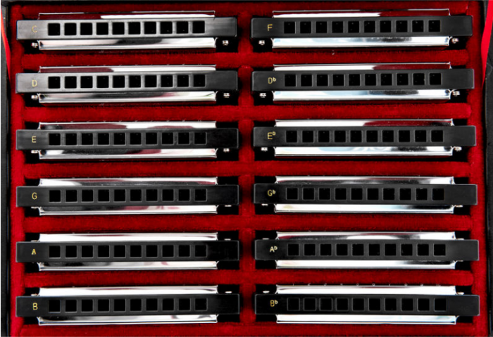 Harley Benton Blues Harmonica Set [7]