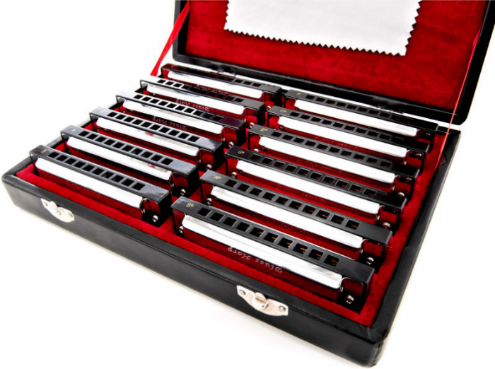 Harley Benton Blues Harmonica Set [5]
