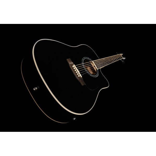 Harley Benton D-120CE BK [10]