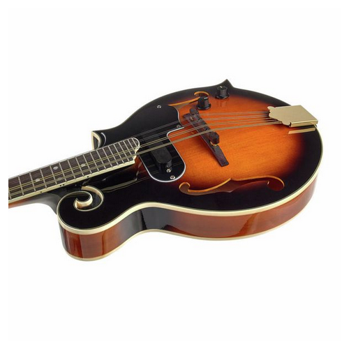 Harley Benton HBMA-100E- VS [5]