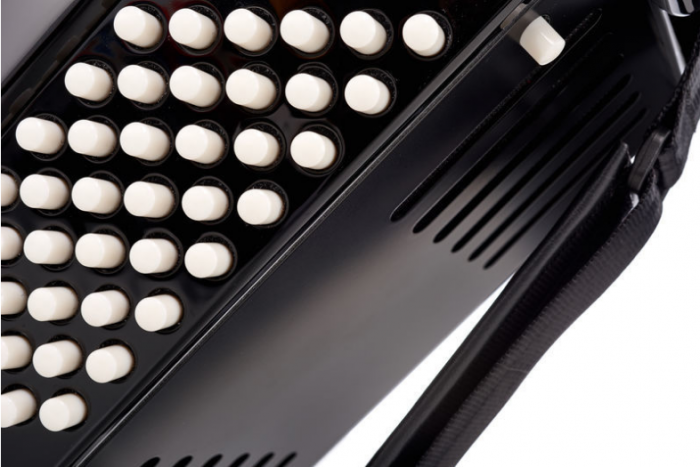 Hohner Bravo II 48 Black silent key [7]