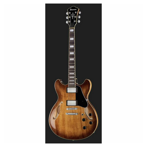 Ibanez AS73-TBC [2]