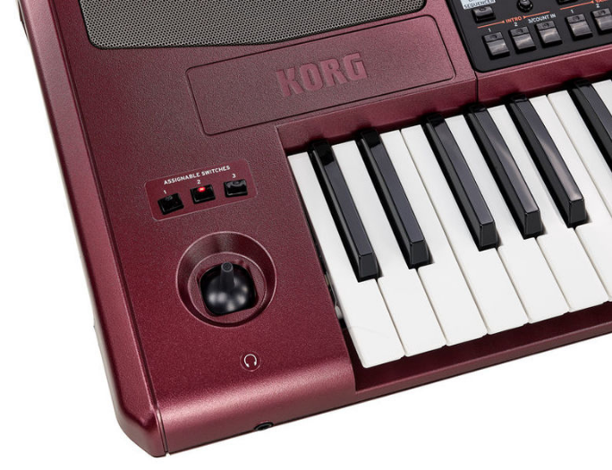 Korg PA-1000 [11]