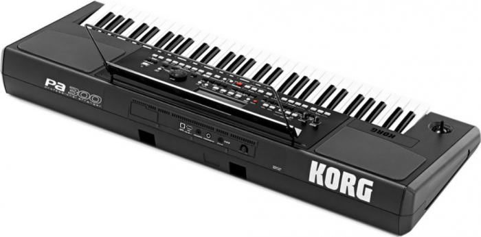 Korg PA-300 [10]