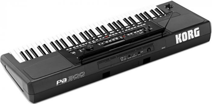 Korg PA-300 [9]
