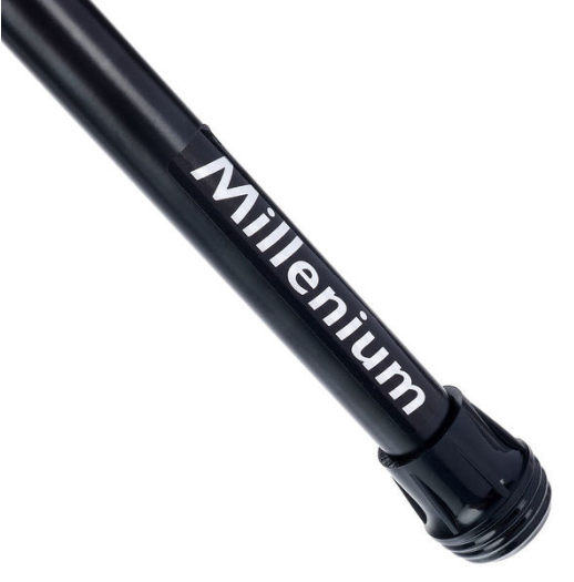 Millenium US-2010 [7]