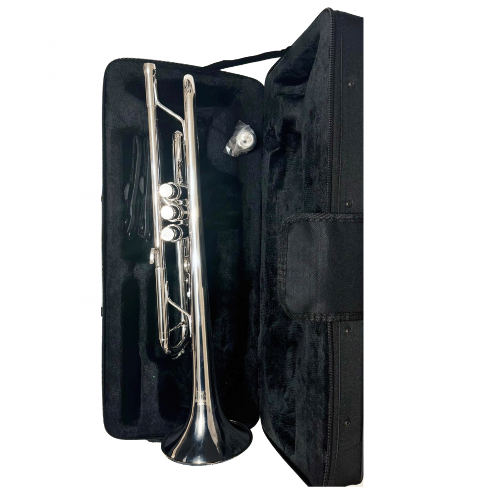 Parrot 6416S Trompeta Sib, Silver [2]