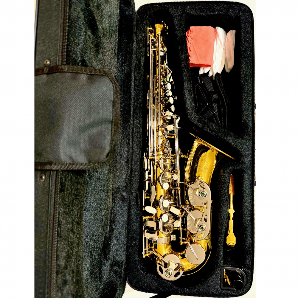 Parrot 6430A Saxofon Alto Mib, Auriu, clape argintii [2]