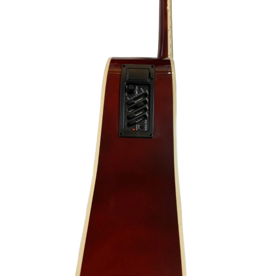 Parrot DG200CE WRS Chitara Electro Acustica [3]
