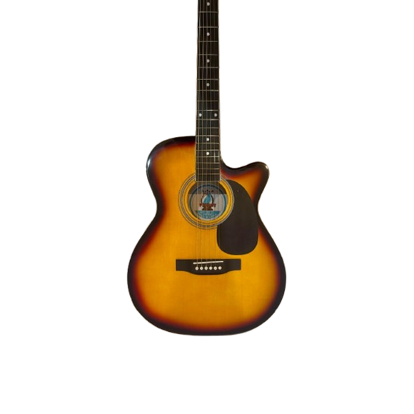Parrot MJG100C BS Chitara Acustica [3]