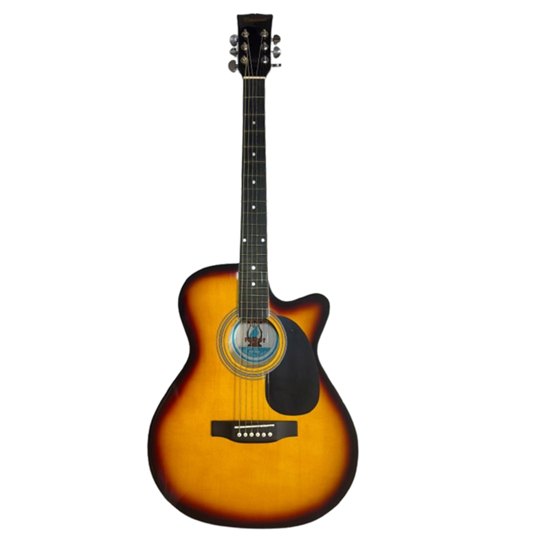 Parrot MJG100C BS Chitara Acustica [1]