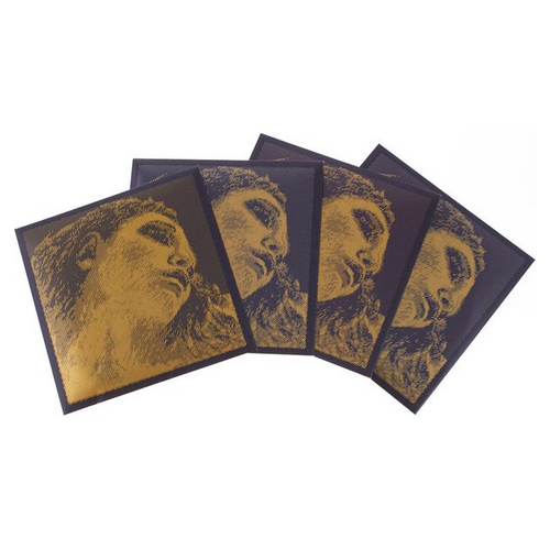 Pirastro Evah Pirazzi Gold G-Gold BE [1]
