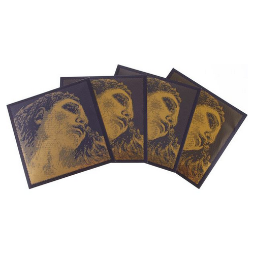 Pirastro Evah Pirazzi Gold G-Silver BE [1]