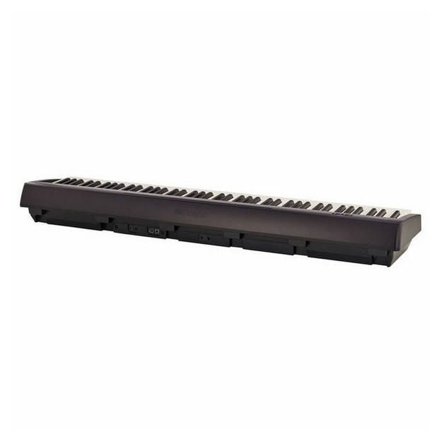 Roland FP-10 [7]