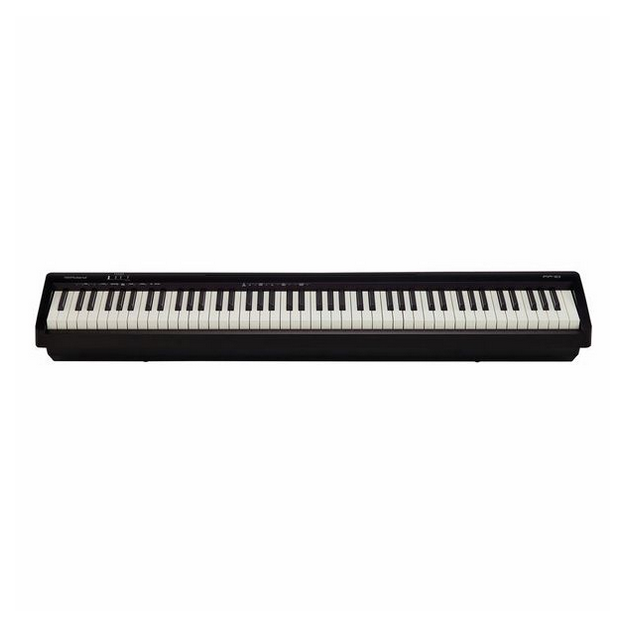 Roland FP-10 [2]