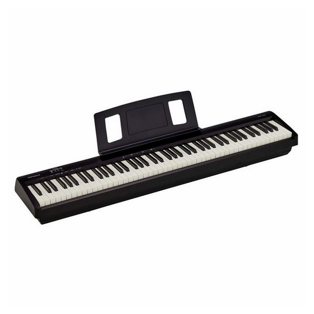 Roland FP-10 [3]