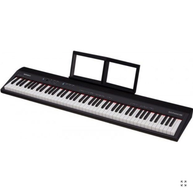 Roland GO:PIANO88 [5]