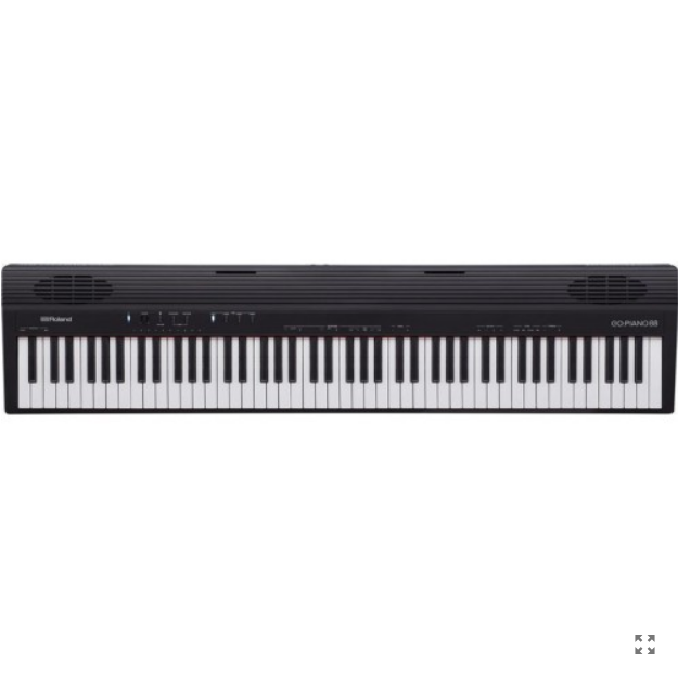 Roland GO:PIANO88 [2]
