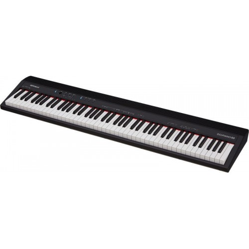 Roland GO:PIANO88 [1]