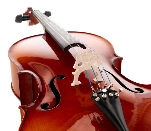 Roth & Junius Europe 4/4 Student Cello Set [5]