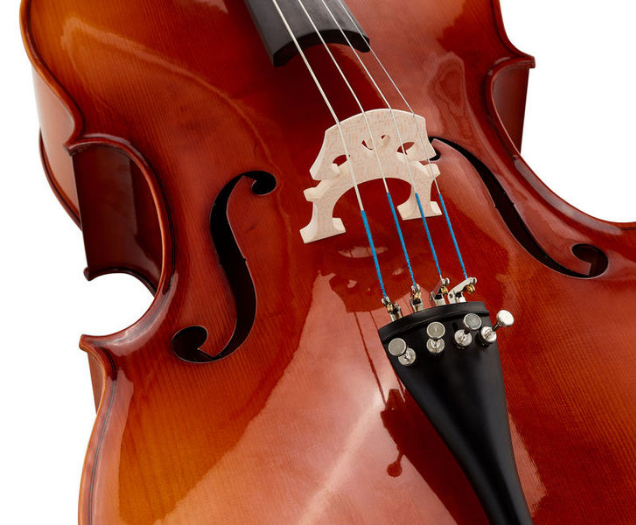 Roth & Junius Europe 4/4 Student Cello Set [6]