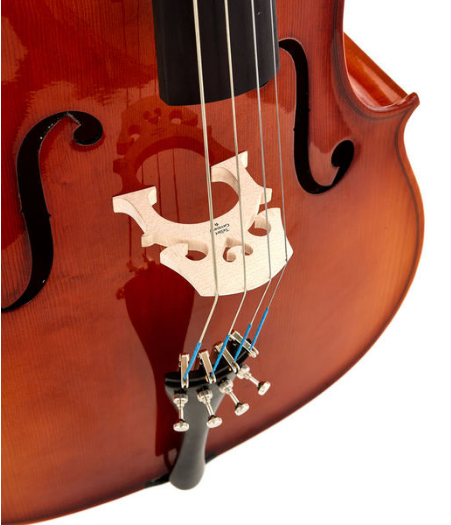 Roth & Junius Europe 4/4 Student Cello Set [8]