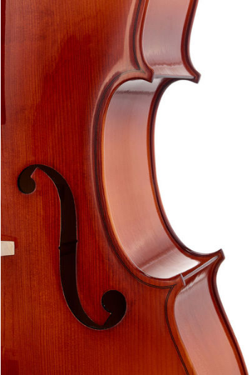 Roth & Junius Europe 4/4 Student Cello Set [7]