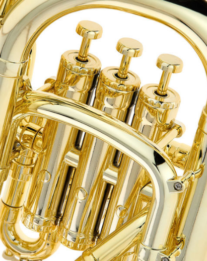 Startone PEP-20 Euphonium Gold [6]